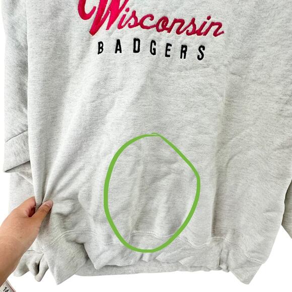 Vintage embroidered Wisconsin Badgers from fruit of the loom Sweatshirt sz Large - Picture 10 of 12